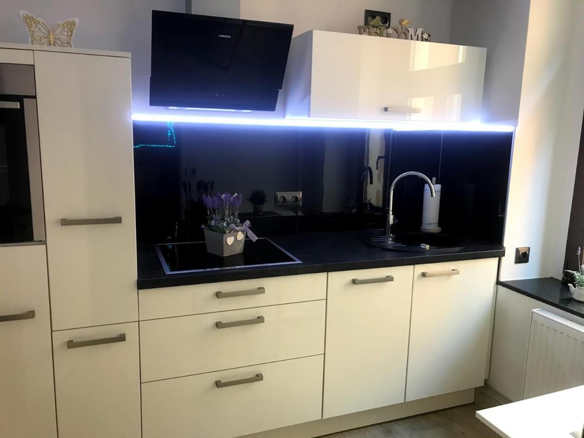 Salzhausblick Business Apartments - Zentrale Lage Am Salzhaus - Mwst-Rechnung Verfuegbar Цитау Стая снимка