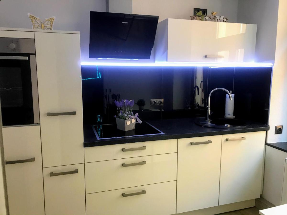 Salzhausblick Business Apartments - Zentrale Lage Am Salzhaus - Mwst-Rechnung Verfuegbar Цитау Стая снимка