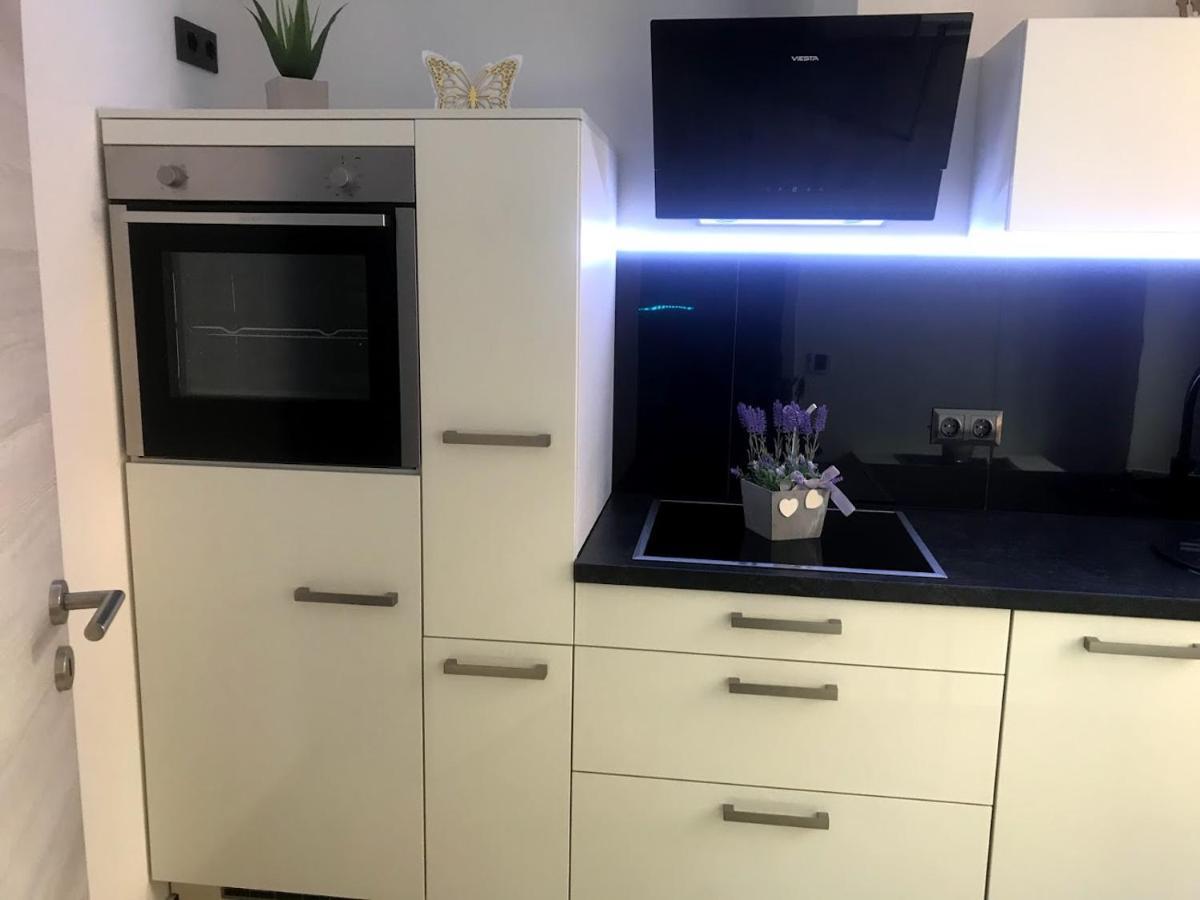 Salzhausblick Business Apartments - Zentrale Lage Am Salzhaus - Mwst-Rechnung Verfuegbar Цитау Стая снимка