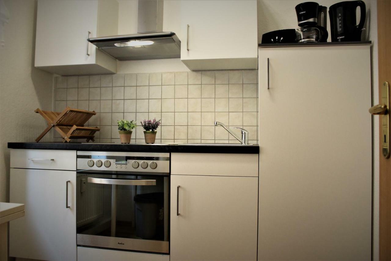 Salzhausblick Business Apartments - Zentrale Lage Am Salzhaus - Mwst-Rechnung Verfuegbar Цитау Екстериор снимка